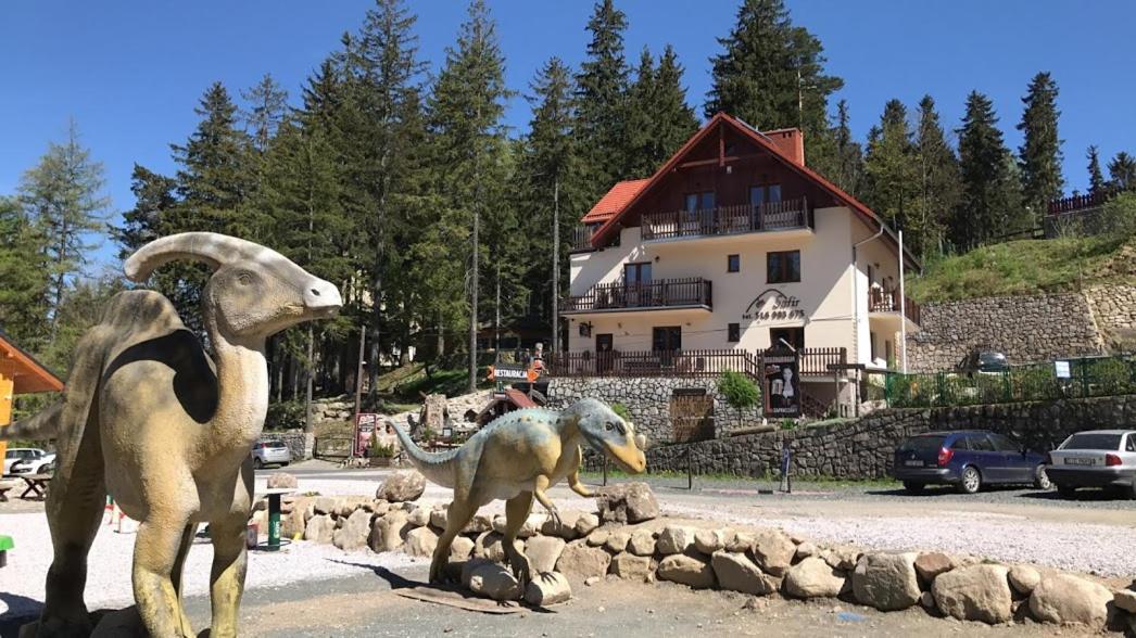 Safir Przy Samym Wyciagu Karpacz Exterior foto